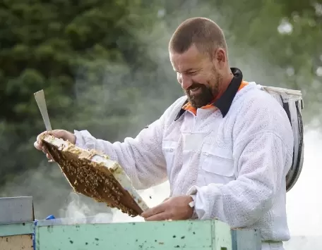 Pčelarski poslovi po godišnjim dobima Pčelarski poslovi po godišnjim dobima